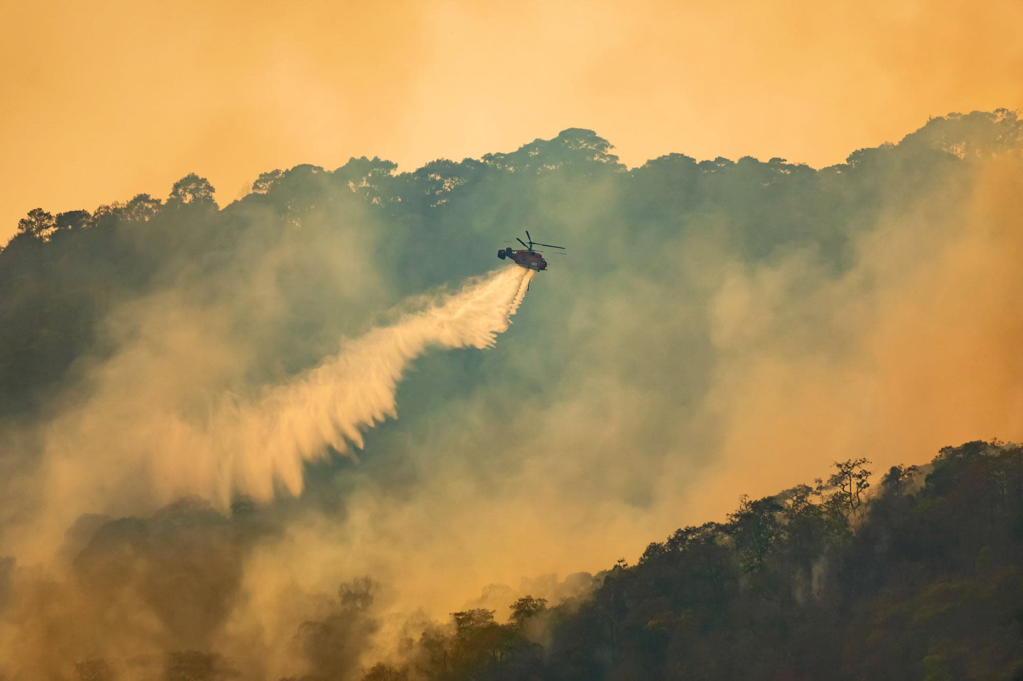 Wildfire Season is Here: Will Your Company’s Insurance Policy Withstand the Heat?