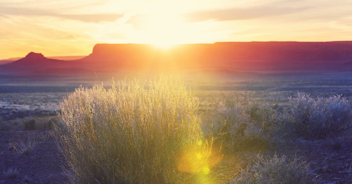 What Tribes Need to Know About the Changed Legal Landscape in 2021