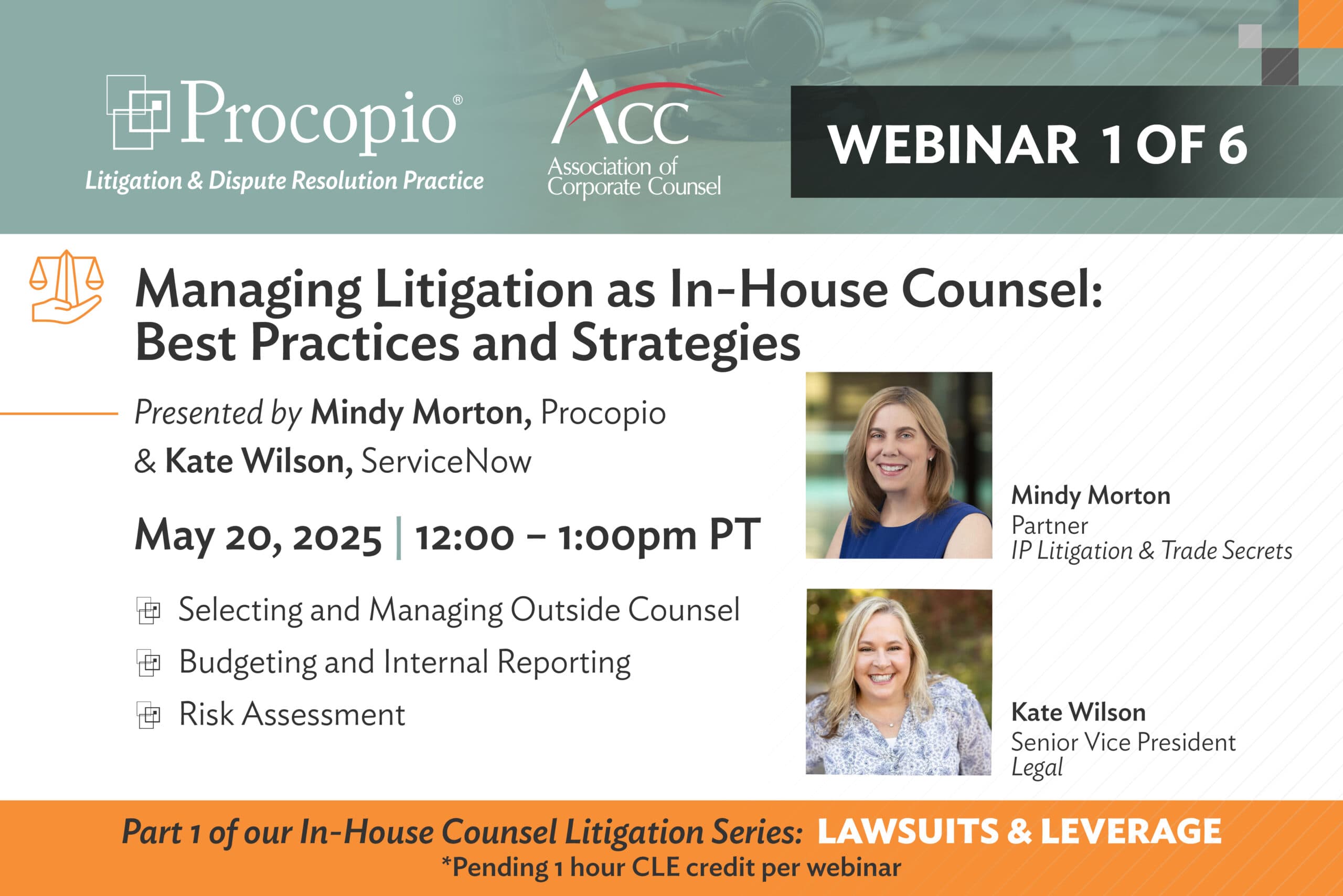 Managing Litigation as an In-House Counsel: Lawsuits and Leverage Series