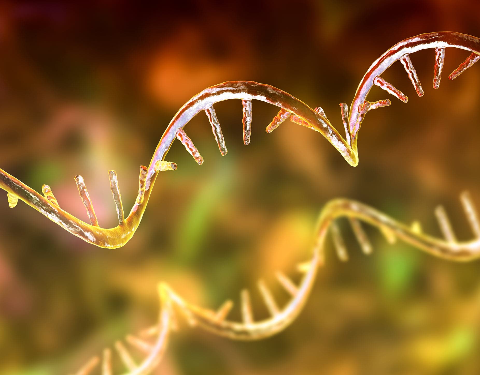 Chinese Biotech Scores Big Win with U.S. Patent Office Judges