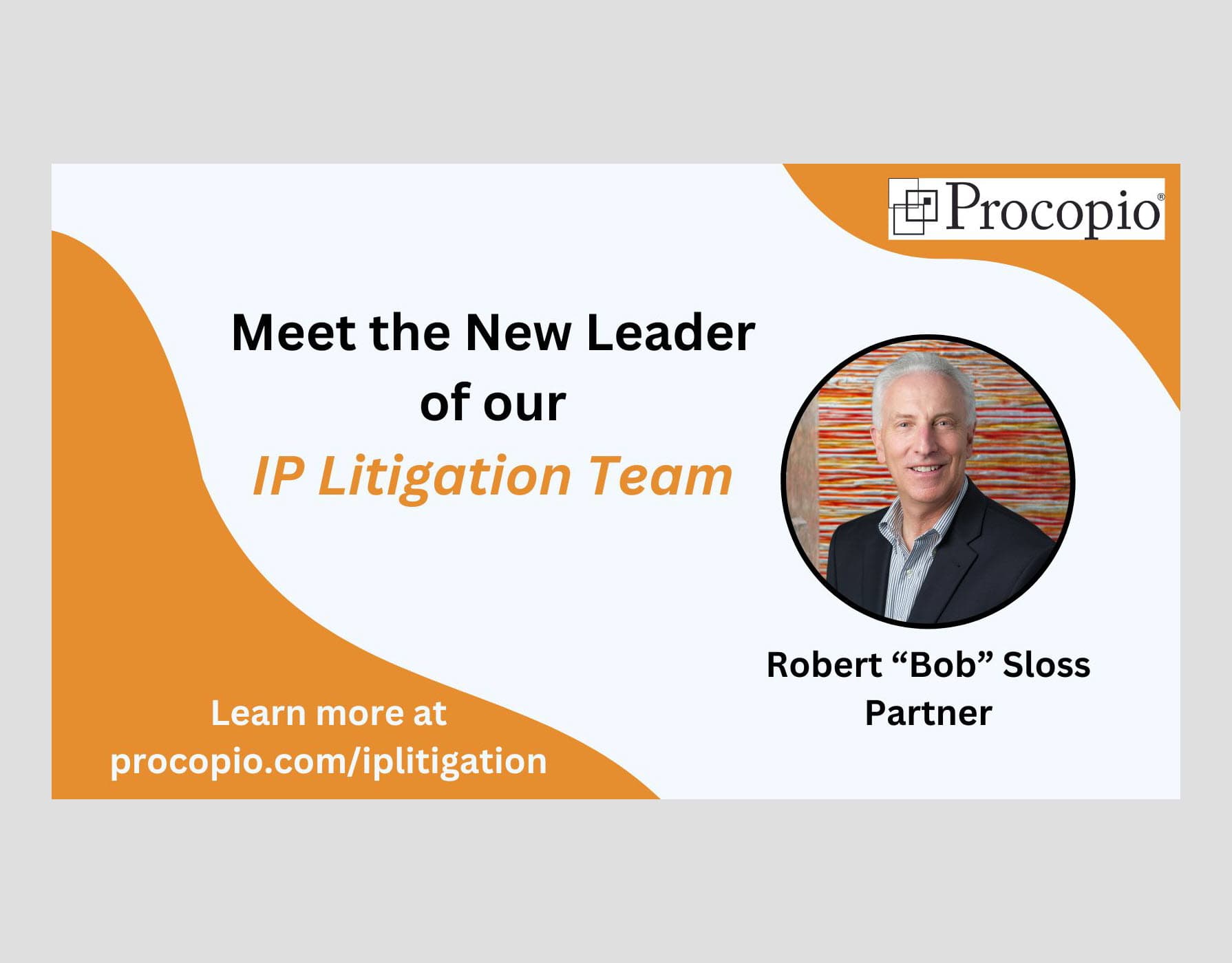 Accomplished Silicon Valley Partner New Leader of Procopio’s IP Litigation Team