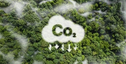 Procopio Environmental Breakfast Club (EBC) Featuring CARB Member, Diane Takvorian, and APCD Supervising Air Resources Specialist, Heidi Gabriel-Pack