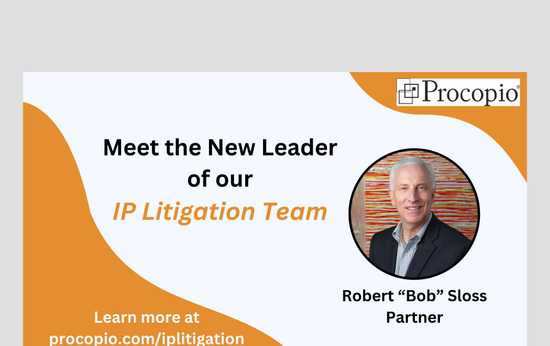 Accomplished Silicon Valley Partner New Leader of Procopio’s IP Litigation Team